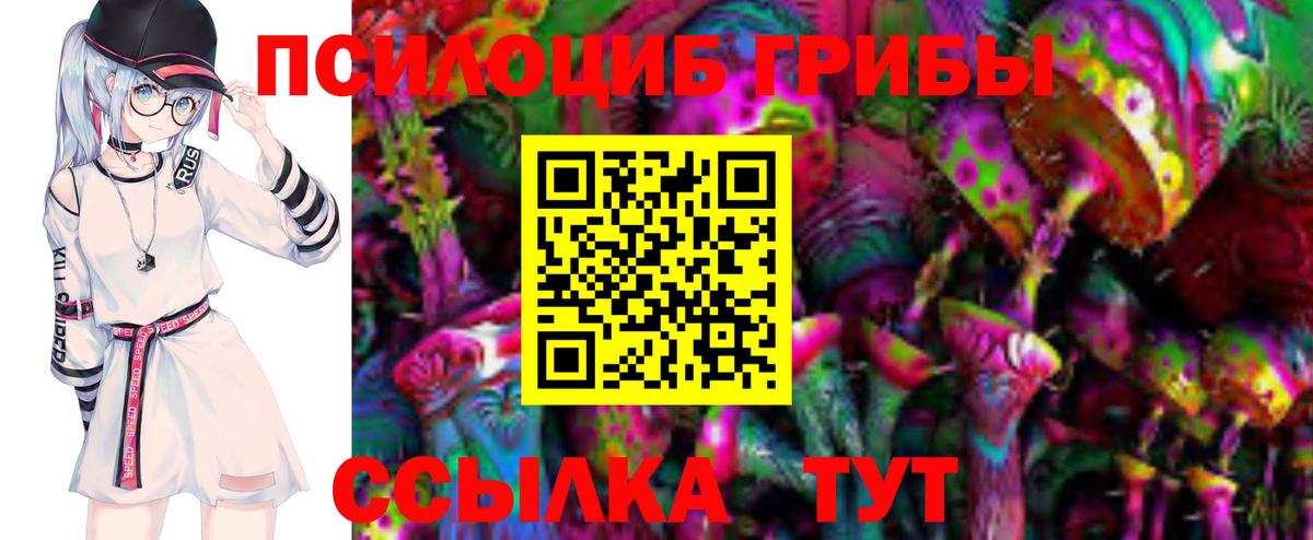 купить  цена  Галлюциногенные грибы GOLDEN TEACHER  Вход с VPN  Пугачёв 